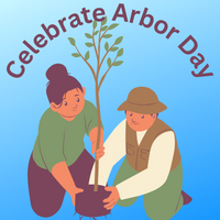 Image for event: Flamingo Friday -- Arbor Day